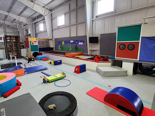 ຄໍາຮ້ອງສະຫມັກຂອງການຫຸ້ມຫໍ່ອ່ອນການສອດຄ່ອງກັບ